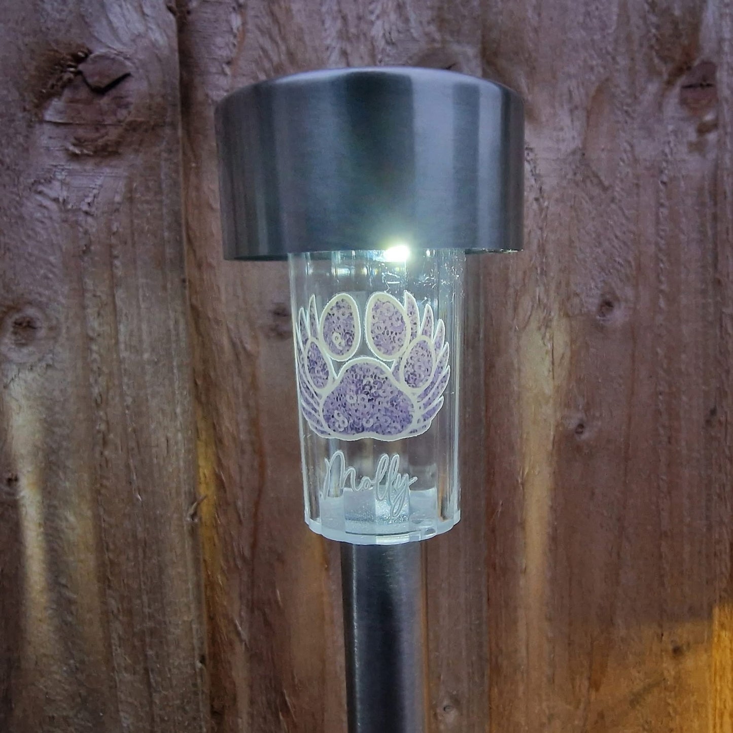 Garden Solar Lights