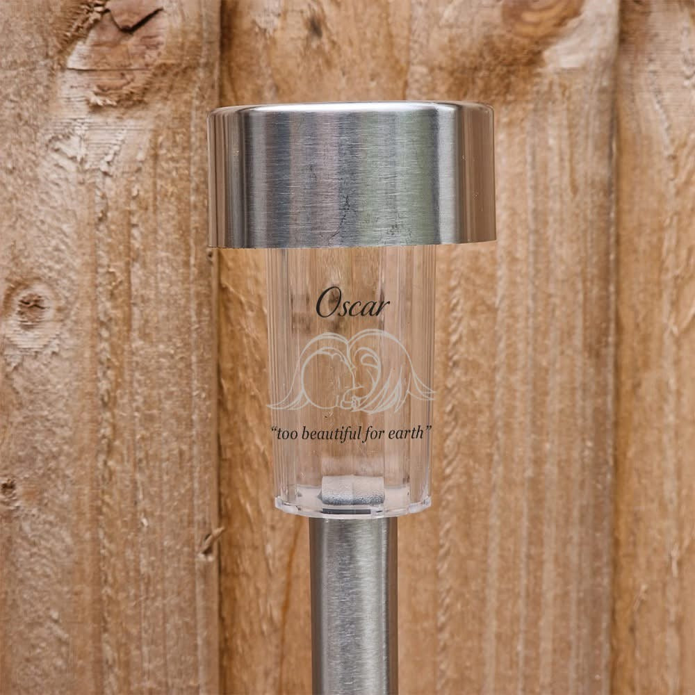 Garden Solar Lights
