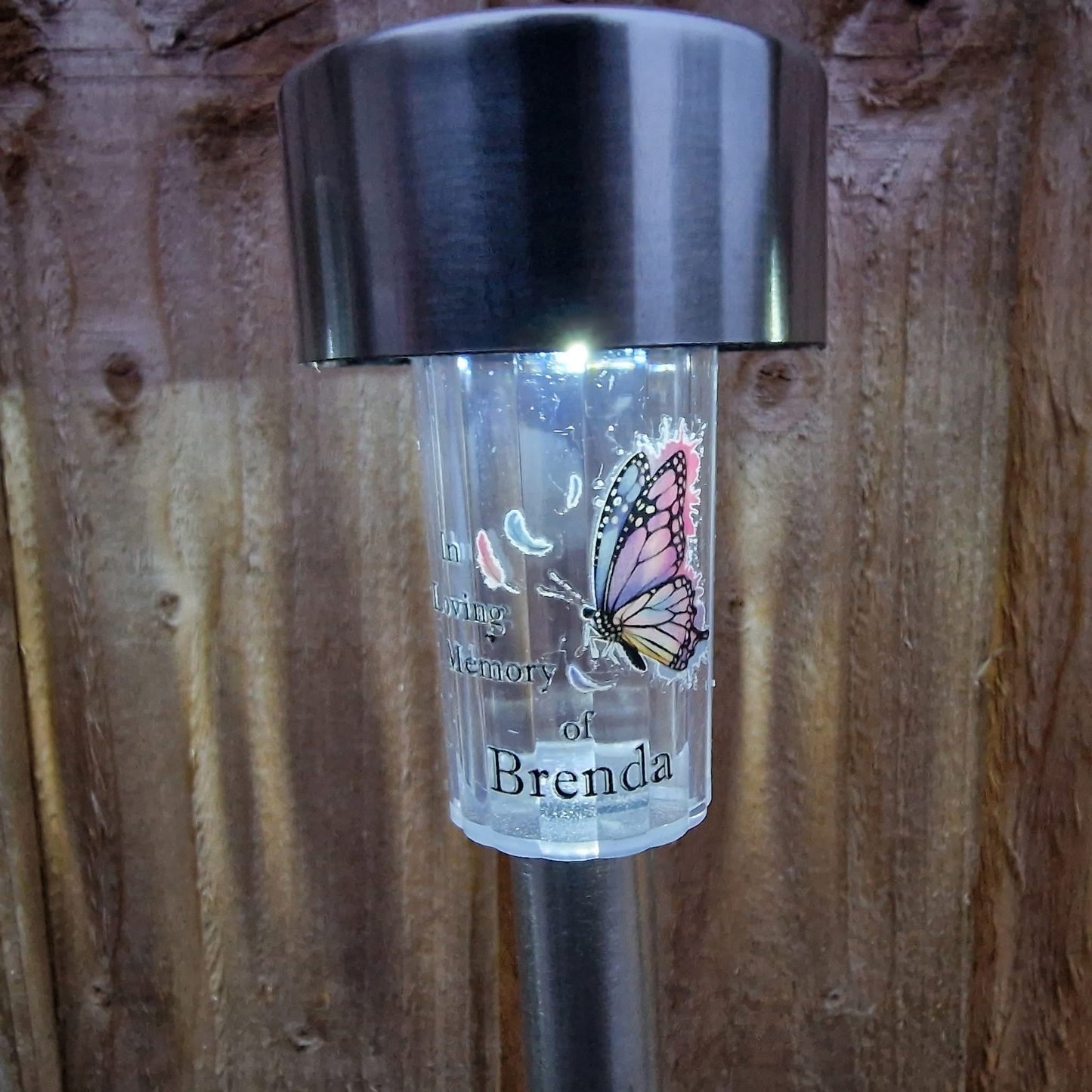 Garden Solar Lights