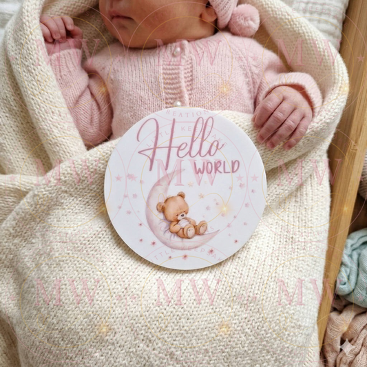 Milestone Teddy Bear Print Circle Acrylic Discs - Pink.