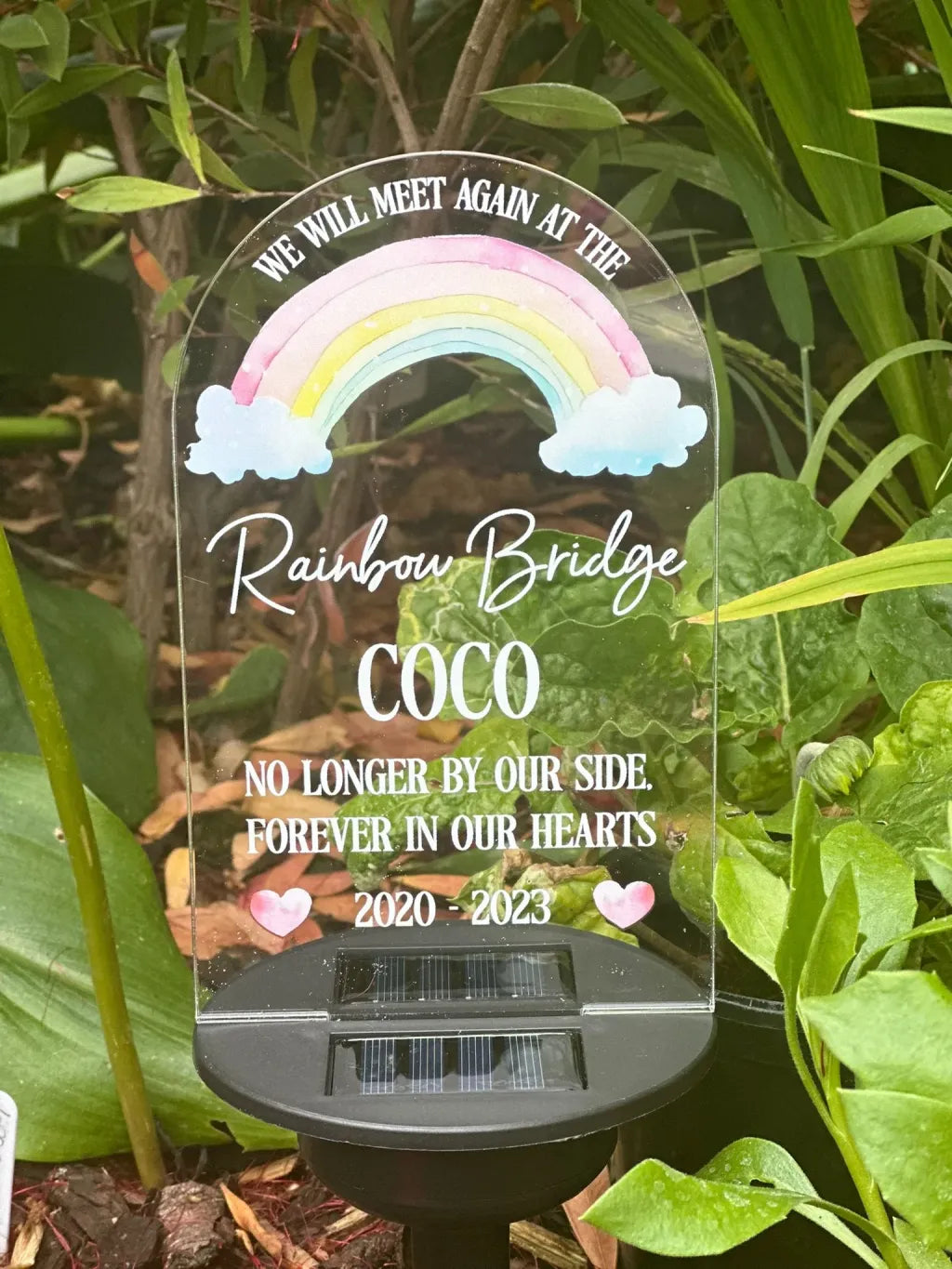 Solar Light We Will Meet Again At The Rainbow Bridge.